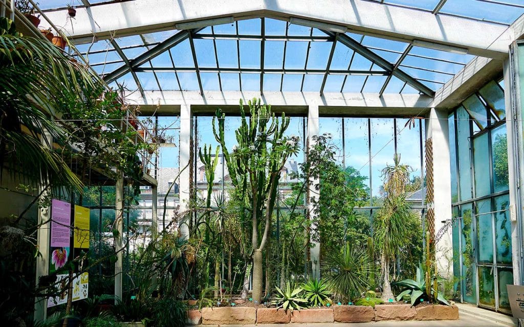 La serre tropicale du jardin botanique de Strasbourg